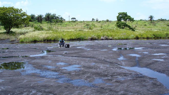pitch lake